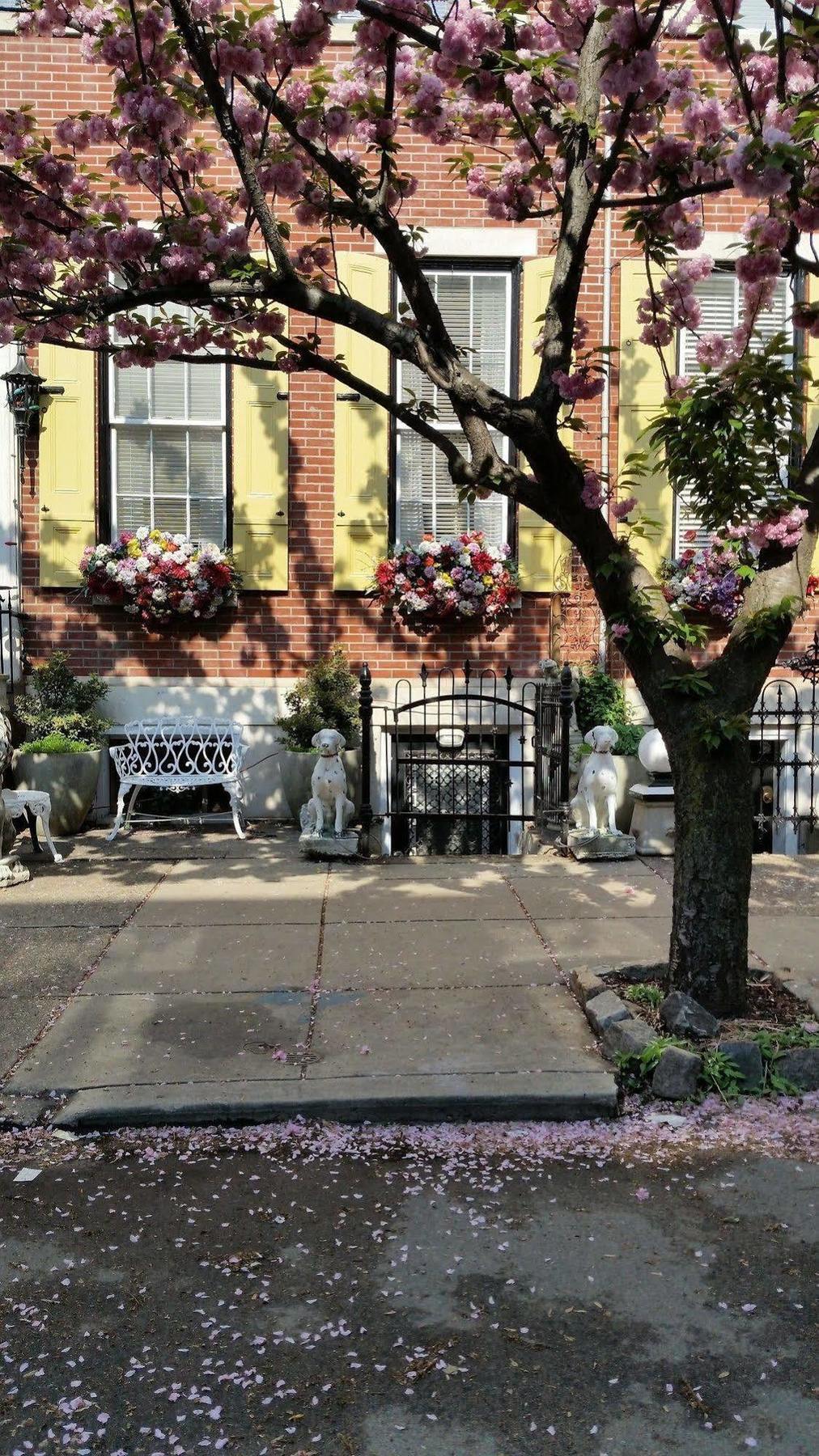 The Philadelphia Hotel Bella Vista Exterior foto